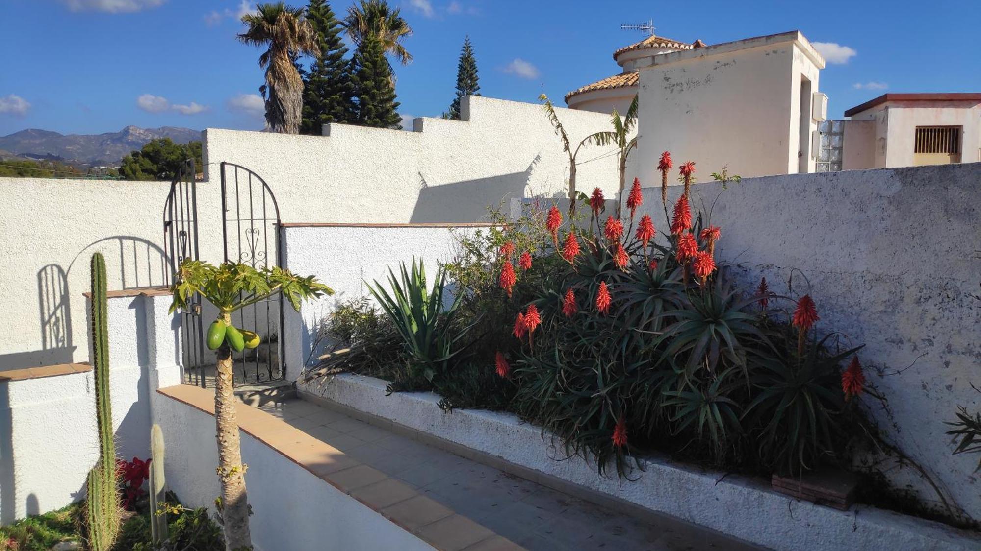 A Little Paradise With Super Views In Almuñécar מראה חיצוני תמונה